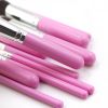 Travel Set Mini Makeup Brush Set of 10 Count (Pink Silver)